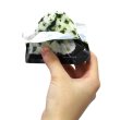 画像4: 5年保存携帯おにぎり 3種24袋セット (4)
