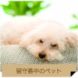 画像5: 高画質ワイヤレスホームカメラ (5)